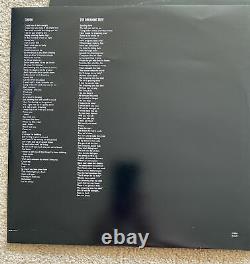 Dave Matthews Band -Before These Crowded Streets Vinyl Album