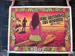 Dave Matthews Tim Reynolds Cancun 2020 Limited Edition Poster Surfer Girl