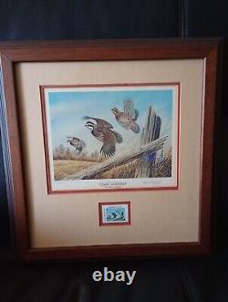 Quail Unlimited Dave Chapple Print And Stamp In Frame