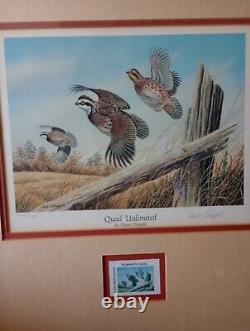 Quail Unlimited Dave Chapple Print And Stamp In Frame