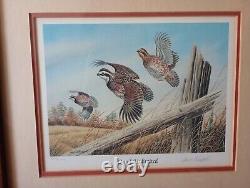 Quail Unlimited Dave Chapple Print And Stamp In Frame