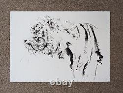 Rare Dave White Tiger Print Limited Edition of 25