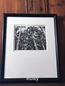 Artiste célèbre Dave Bruner a signé une peinture à l'encre sur bloc de bois représentant le vent dans les palmiers.