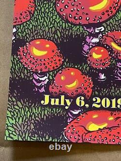 Dave Matthews Band Poster Alpine Valley 2019 James Flames Wisconsin Dmb N2 Ae