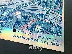 Impression de poster d'art en feuille d'arc-en-ciel de Yin Shian Ng Dave Matthews Band DMB Tim Reynolds