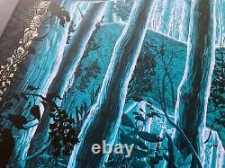 NC Winters Dave Matthews Band East Troy Nocturne Variant Art Print Poster <br/>	
  
<br/>	 
Affiche d'art de la variante Nocturne de NC Winters Dave Matthews Band East Troy